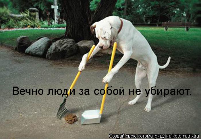 Вечно люди за собой не убирают.... Котоматрица: Вечно люди за собой не убирают.