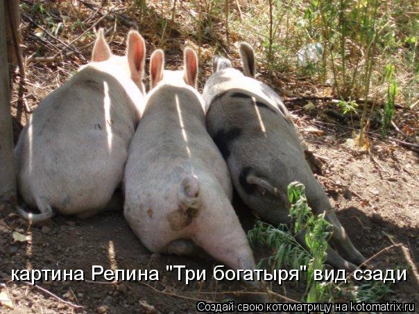 картина Репина "Три богатыря" вид сзади... Котоматрица: картина Репина "Три богатыря" вид сзади