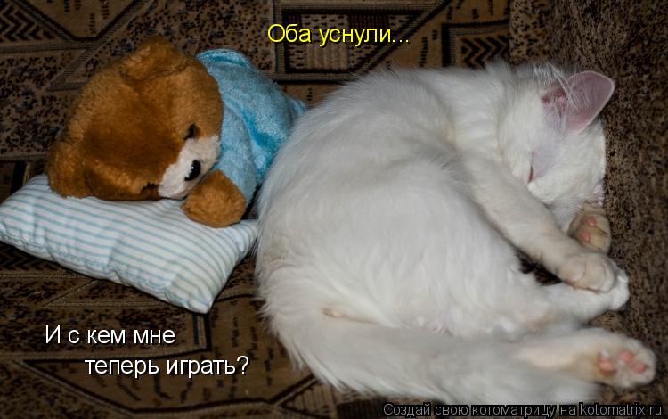 Оба уснули... И с кем мне теперь играть?... Котоматрица: Оба уснули... И с кем мне теперь играть?