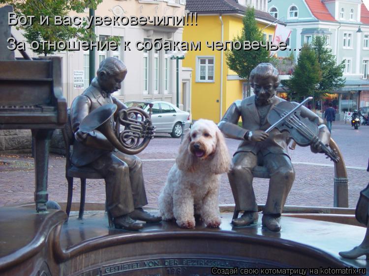 Котоматрица: Вот и вас увековечили!!! За отношение к собакам человечье...