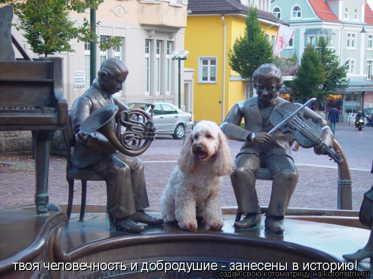 Котоматрица: твоя человечность и добродушие - занесены в историю!