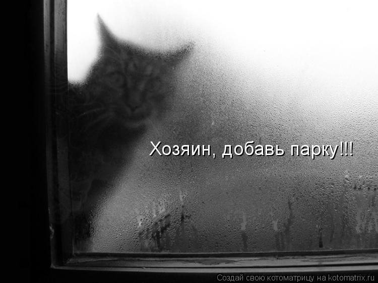 Котоматрица: Хозяин, добавь парку!!!