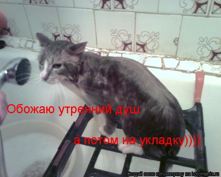Обожаю утренний душ а потом на укладку))))... Котоматрица: Обожаю утренний душ а потом на укладку))))