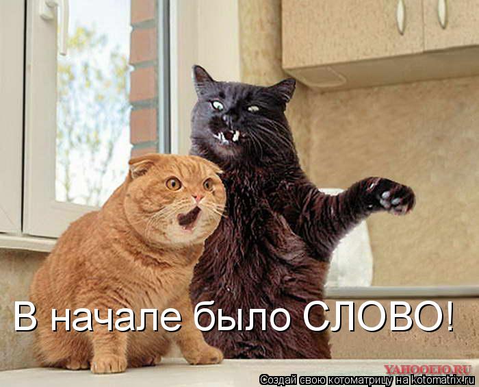 В начале было СЛОВО!... Котоматрица: В начале было СЛОВО!