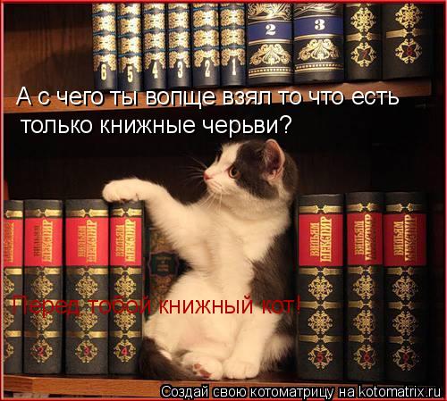 Котоматрица: А с чего ты вопще взял то что есть  только книжные черьви? Перед тобой книжный кот!