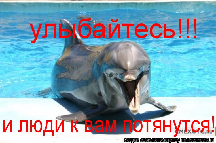 Котоматрица: улыбайтесь!!! и люди к вам потянутся!