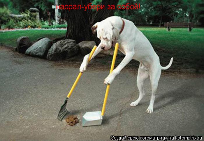 Котоматрица: насрал-убери за собой!