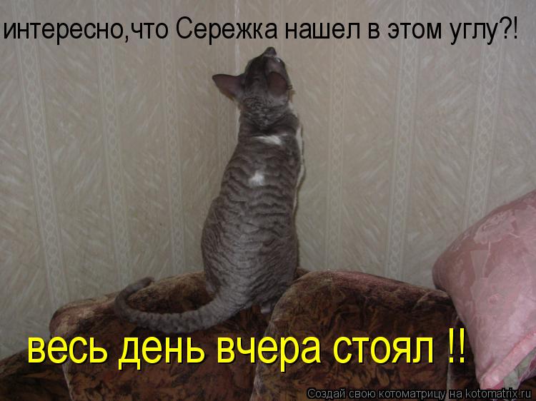 весь день вчера стоял !! интересно,что Сережка нашел в этом углу?!... Котоматрица: весь день вчера стоял !! интересно,что Сережка нашел в этом углу?!