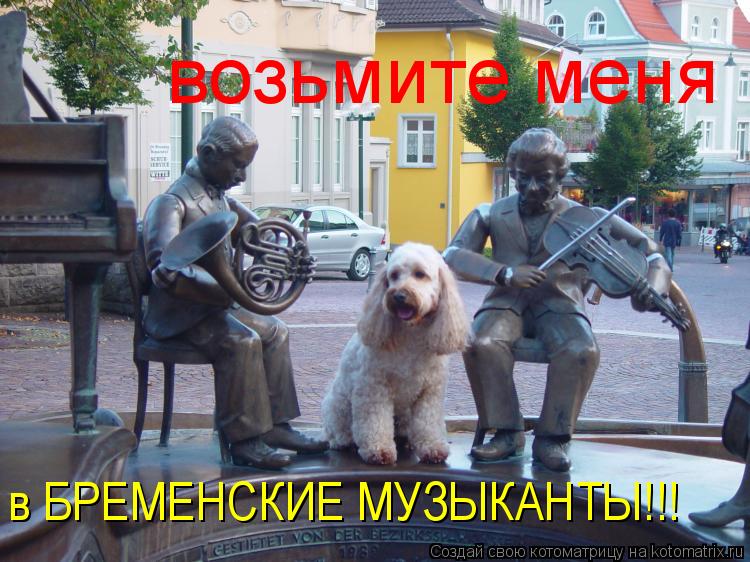 Котоматрица: возьмите меня  в БРЕМЕНСКИЕ МУЗЫКАНТЫ!!!