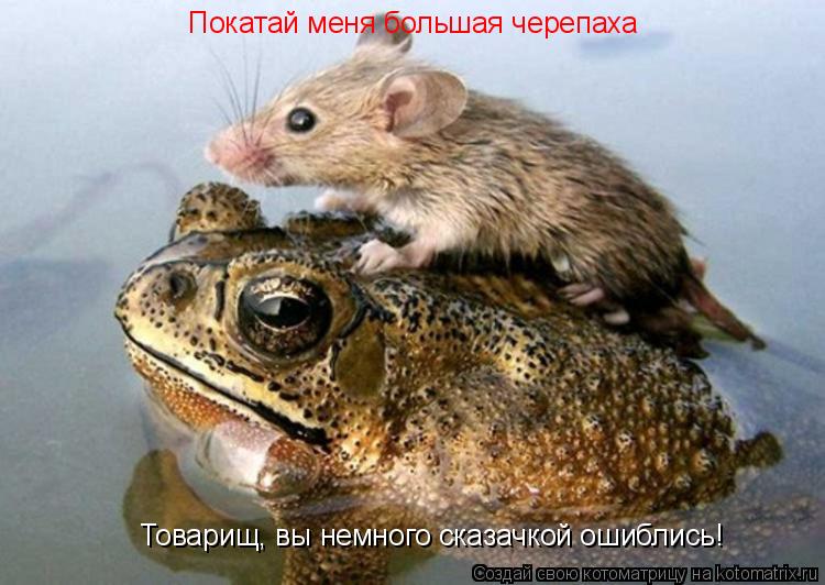 Котоматрица: Покатай меня большая черепаха Товарищ, вы немного сказачкой ошиблись!