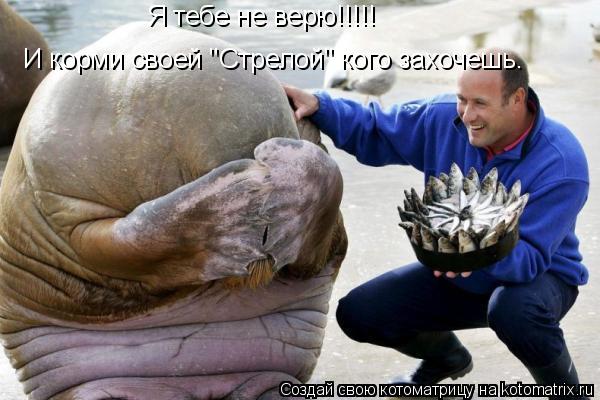Котоматрица: Я тебе не верю!!!!!  И корми своей "Стрелой" кого захочешь.