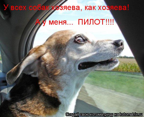 У всех собак хозяева, как хозяева! А у меня... ПИЛОТ!!!!... Котоматрица: У всех собак хозяева, как хозяева! А у меня... ПИЛОТ!!!!