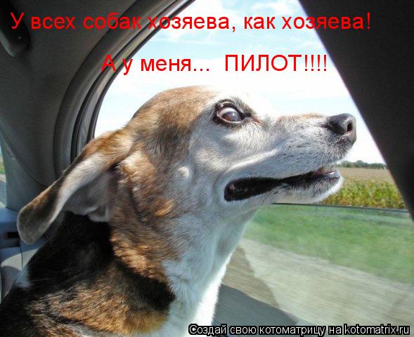 Котоматрица: У всех собак хозяева, как хозяева! А у меня...  ПИЛОТ!!!!