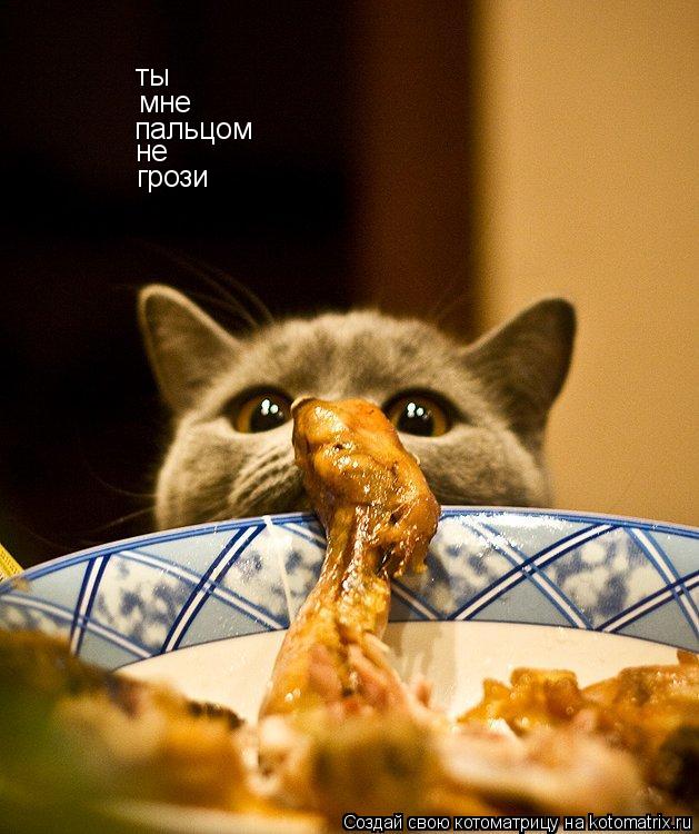 Котоматрица: ты  мне пальцом не грози