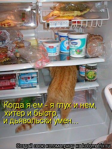 Котоматрица: Когда я ем - я глух и нем,  хитер и быстр,  и дьявольски умен...