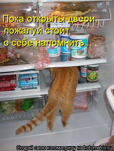 Котоматрица: Пока открыты двери, пожалуй стоит,  о себе напомнить...