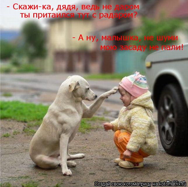 Котоматрица: - Скажи-ка, дядя, ведь не даром  ты притаился тут с радаром? - А ну, малышка, не шуми мою засаду не пали!