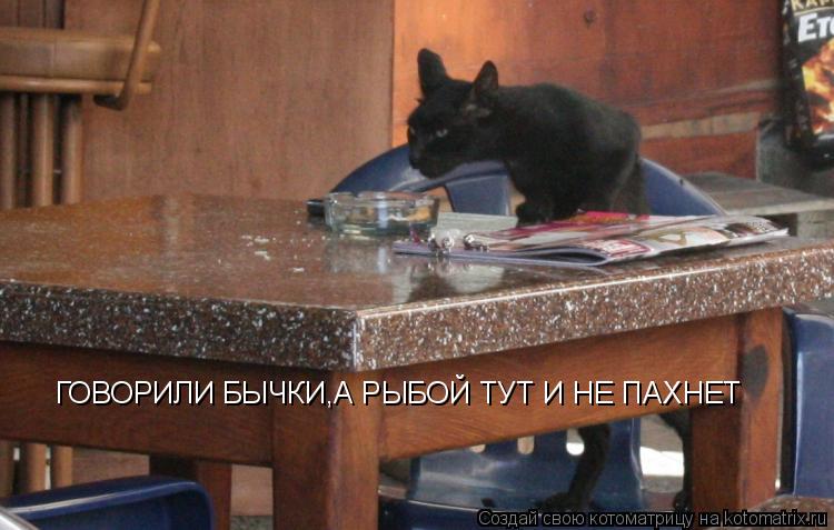 ГОВОРИЛИ БЫЧКИ,А РЫБОЙ ТУТ И НЕ ПАХНЕТ... Котоматрица: ГОВОРИЛИ БЫЧКИ,А РЫБОЙ ТУТ И НЕ ПАХНЕТ