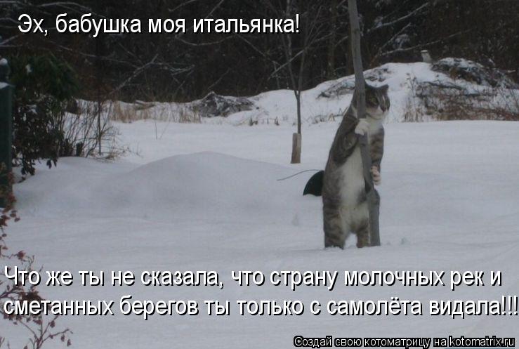 Эх, бабушка моя итальянка! Что же ты не сказала, что страну молочных рек и сметанных берегов ты тольк... Котоматрица: Эх, бабушка моя итальянка! Что же ты не сказала, что страну молочных рек и сметанных берегов ты только с самолёта видала!!!