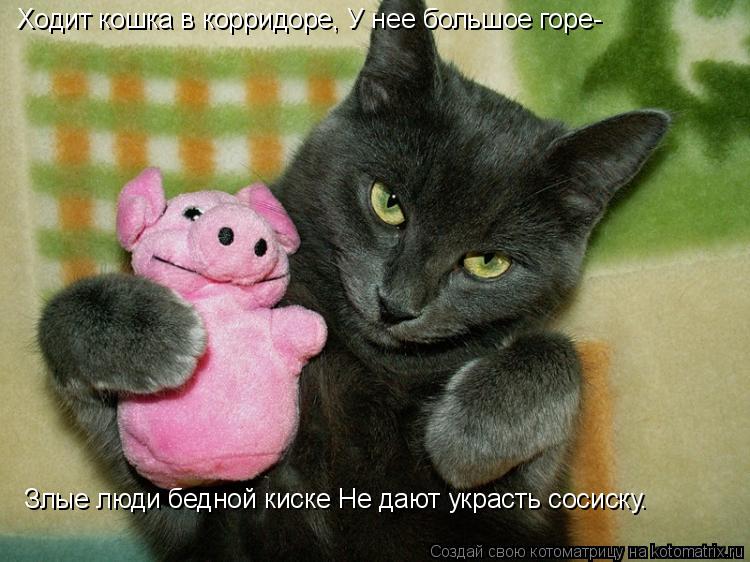 Ходит кошка в корридоре, У нее большое горе- Злые люди бедной киске Hе дают украсть сосиску.... Котоматрица: Ходит кошка в корридоре, У нее большое горе- Злые люди бедной киске Hе дают украсть сосиску.