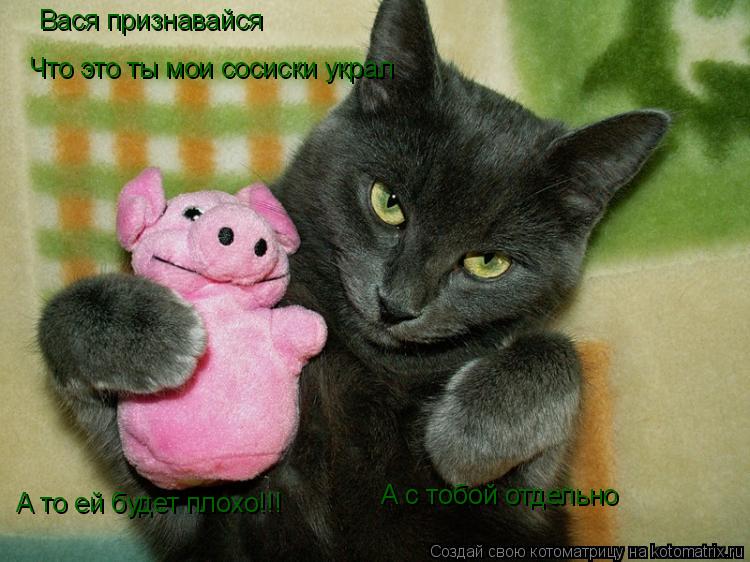 Котоматрица: Вася признавайся Что это ты мои сосиски украл А то ей будет плохо!!! А с тобой отдельно