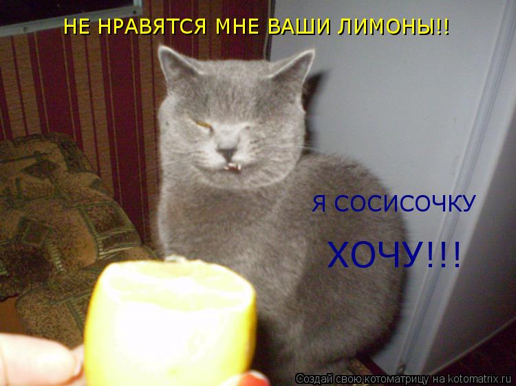 Котоматрица: НЕ НРАВЯТСЯ МНЕ ВАШИ ЛИМОНЫ!! Я СОСИСОЧКУ ХОЧУ!!!