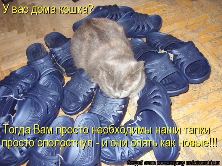 У вас дома кошка? Тогда Вам просто необходимы наши тапки - просто сполостнул - и они опять как новые... Котоматрица: У вас дома кошка? Тогда Вам просто необходимы наши тапки - просто сполостнул - и они опять как новые!!!