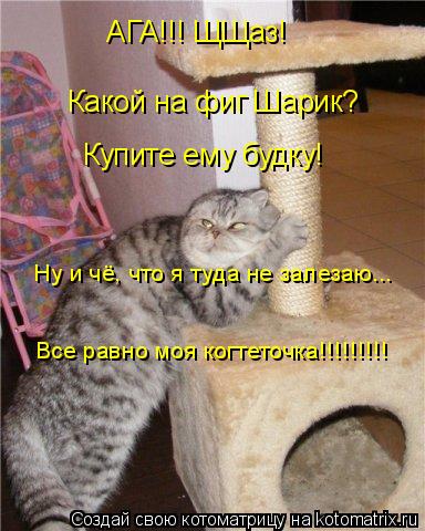 Котоматрица: АГА!!! ЩЩаз! Какой на фиг Шарик? Купите ему будку! Ну и чё, что я туда не залезаю... Все равно моя когтеточка!!!!!!!!!