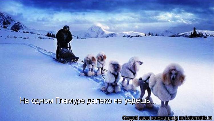 Котоматрица: На одном Гламуре далеко не уедешь...