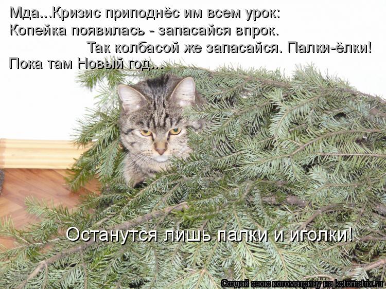 Котоматрица: Мда...Кризис приподнёс им всем урок: Копейка появилась - запасайся впрок. Так колбасой же запасайся. Палки-ёлки! Пока там Новый год... Останутс