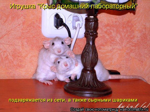 Котоматрица: Игрушка "Крыс домашний лабораторный" подзаряжается из сети, а также сырными шариками