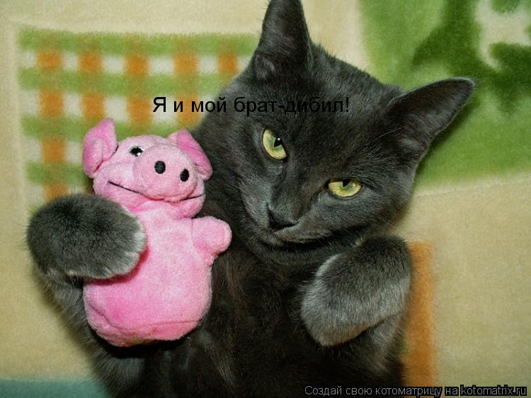 Котоматрица: Я и мой брат-дибил!