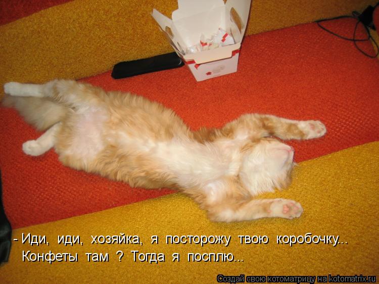 Котоматрица: - Иди,  иди,  хозяйка,  я  посторожу  твою  коробочку...  Конфеты  там  ?  Тогда  я  посплю...