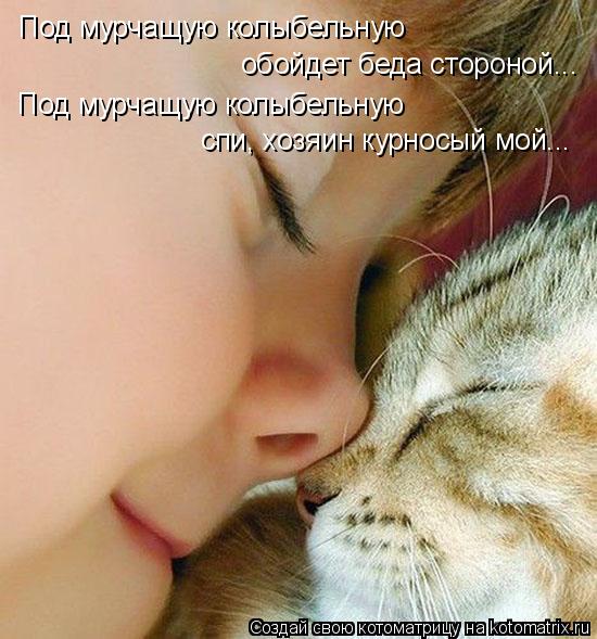 Котоматрица: Под мурчащую колыбельную Под мурчащую колыбельную обойдет беда стороной... спи, хозяин курносый мой...