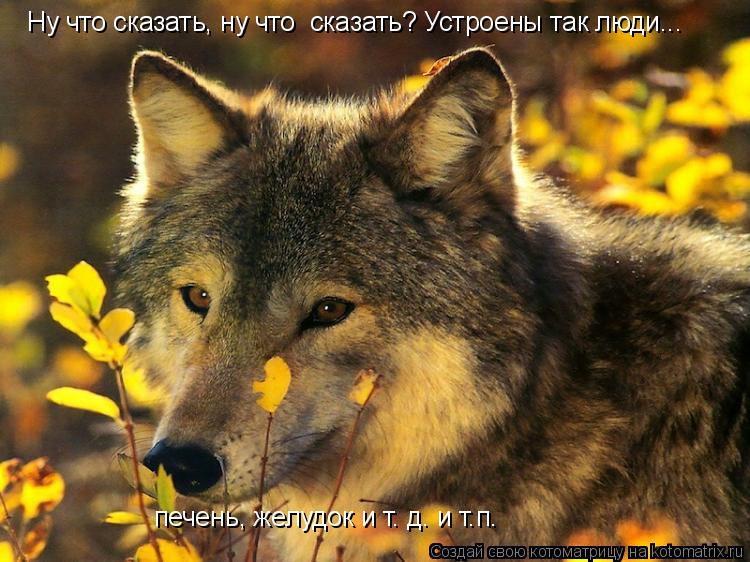 Ну что сказать, ну что сказать? Устроены так люди... печень, желудок и т. д. и т.п.... Котоматрица: Ну что сказать, ну что сказать? Устроены так люди... печень, желудок и т. д. и т.п.