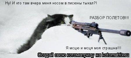 Ну! И кто там вчера меня носом в писюны тыкал?! Я мсцю и мсця моя страшна!!! РАЗБОР ПОЛЕТОВ!!!... Котоматрица: Ну! И кто там вчера меня носом в писюны тыкал?! Я мсцю и мсця моя страшна!!! РАЗБОР ПОЛЕТОВ!!!