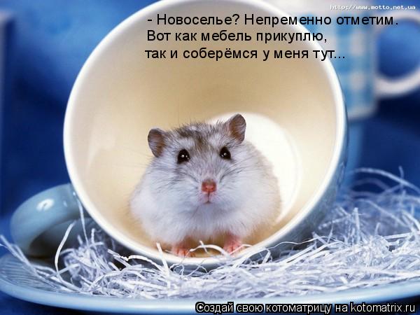 http://kotomatrix.ru/images/lolz/2009/12/01/421463.jpg