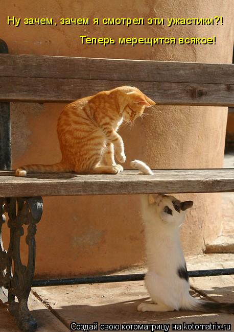Котоматрица: Ну зачем, зачем я смотрел эти ужастики?! Теперь мерещится всякое!