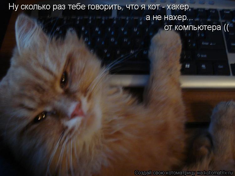 Котоматрица: Ну сколько раз тебе говорить, что я кот - хакер, а не нахер...  от компьютера ((