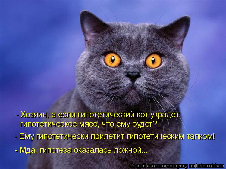 Котоматрица: - Хозяин, а если гипотетический кот украдёт  гипотетическое мясо, что ему будет? - Ему гипотетически прилетит гипотетическим тапком! - Мда, ги