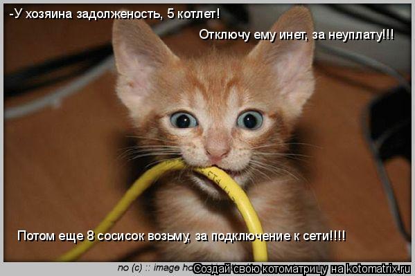 -У хозяина задолженость, 5 котлет! Отключу ему инет, за неуплату!!! Потом еще 8 сосисок возьму, за п... Котоматрица: -У хозяина задолженость, 5 котлет! Отключу ему инет, за неуплату!!! Потом еще 8 сосисок возьму, за подключение к сети!!!!