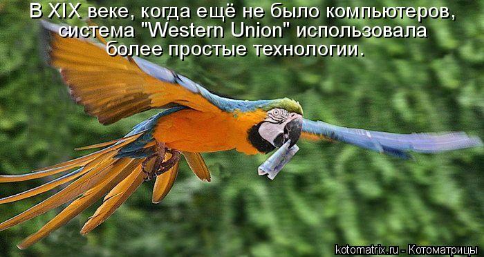 В ХIХ веке, когда ещё не было компьютеров, система "Western Union" использовала более простые техно... Котоматрица: В ХIХ веке, когда ещё не было компьютеров, система "Western Union" использовала более простые технологии.