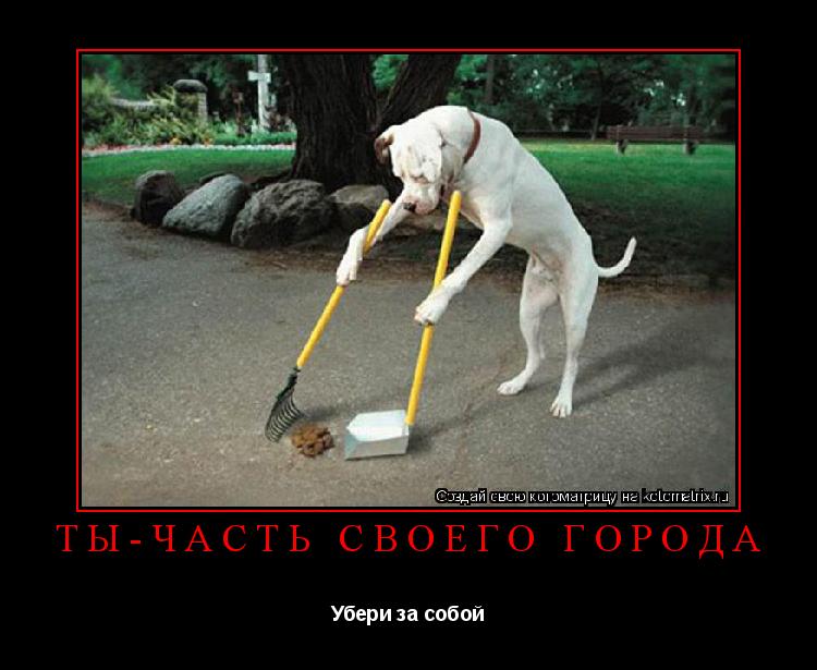 Котоматрица: ТЫ-часть своего города  Убери за собой