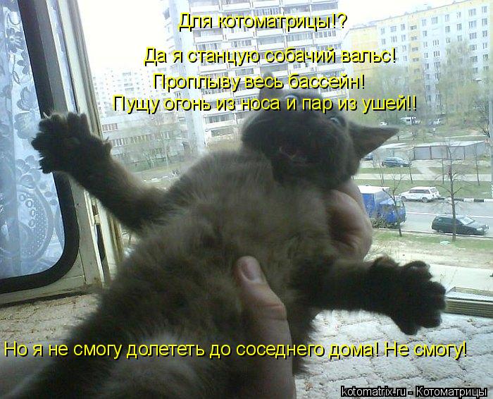 Котоматрица: Да я станцую собачий вальс! Проплыву весь бассейн! Для котоматрицы!? Пущу огонь из носа и пар из ушей!! Но я не смогу долететь до соседнего дом
