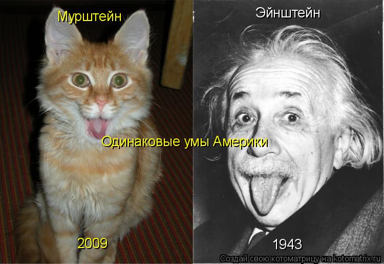 Котоматрица: Мурштейн Эйнштейн 1943 2009 Одинаковые умы Америки