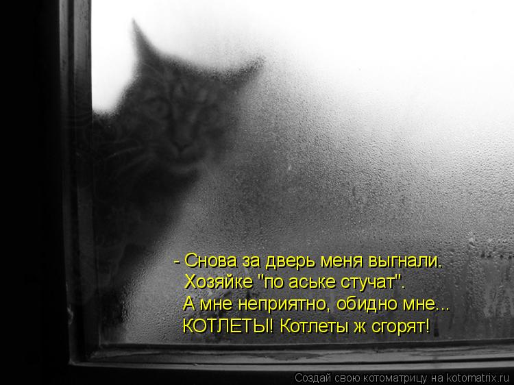 Котоматрица: - Снова за дверь меня выгнали. Хозяйке "по аське стучат". А мне неприятно, обидно мне... КОТЛЕТЫ! Котлеты ж сгорят!