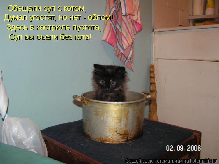 Котоматрица: Обещали суп с котом, Здесь в кастрюле пустота, Суп вы съели без кота! Думал угостят, но нет - облом!