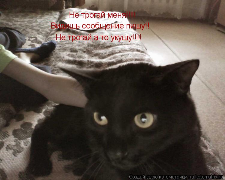 Котоматрица: Не трогай меня!!!! Видишь сообщение пишу!! Не трогай,а то укушу!!!!