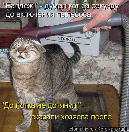 Котоматрица: "Балдеж!" - думал кот за секунду  до включения пылесоса  "До лотка не дотянул!"- сказали хозяева после