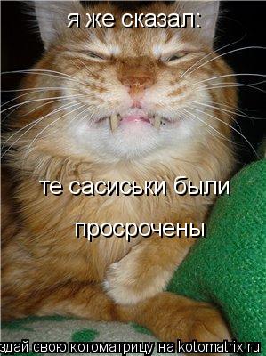 я же сказал: те сасиськи были просрочены... Котоматрица: я же сказал: те сасиськи были просрочены
